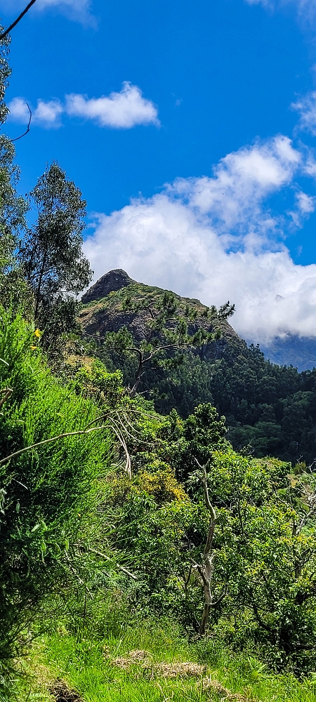 Levada da Fajã das Éguas — As far as the junction to the upper branch — photo 9