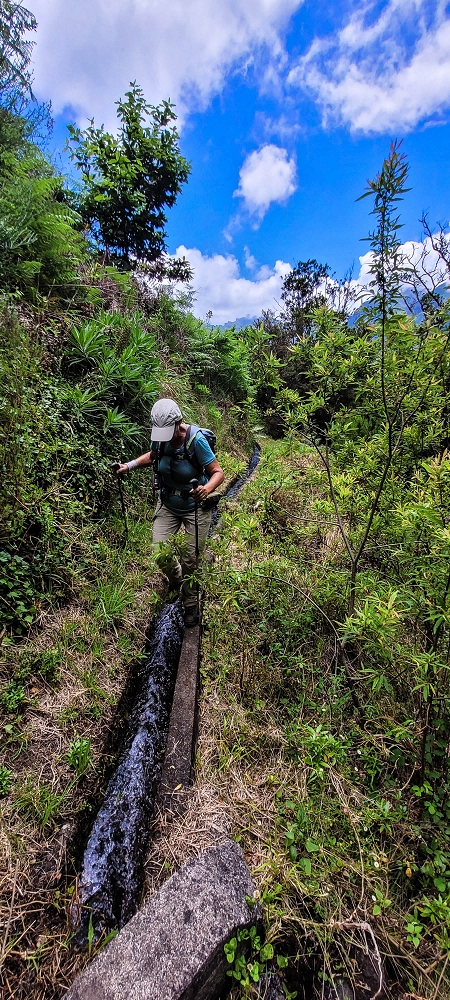 Levada da Fajã das Éguas — As far as the junction to the upper branch — photo 8
