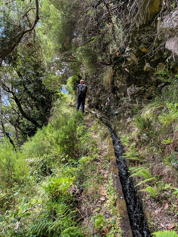 Levada da Fajã das Éguas — As far as the junction to the upper branch — photo 7