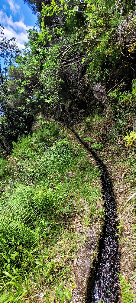 Levada da Fajã das Éguas — As far as the junction to the upper branch — photo 6