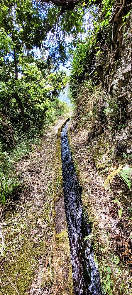 Levada da Fajã das Éguas — As far as the junction to the upper branch — photo 5