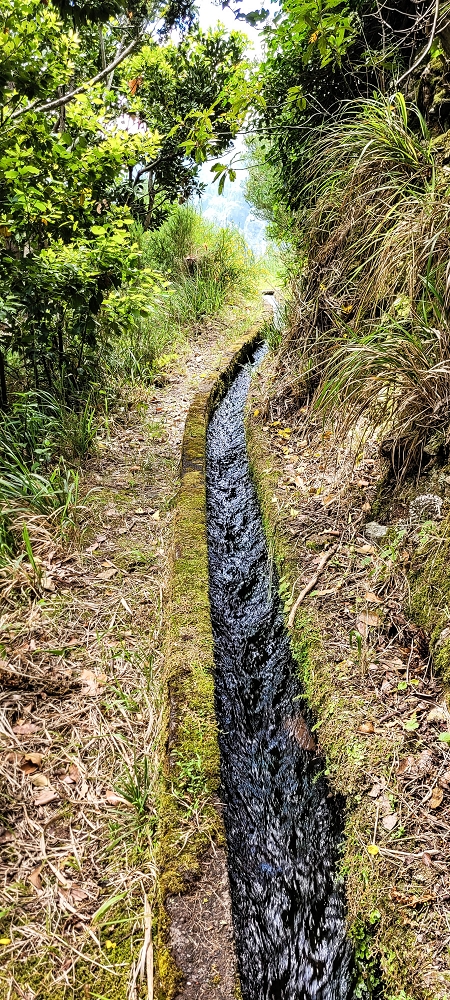 Levada da Fajã das Éguas — As far as the junction to the upper branch — photo 4