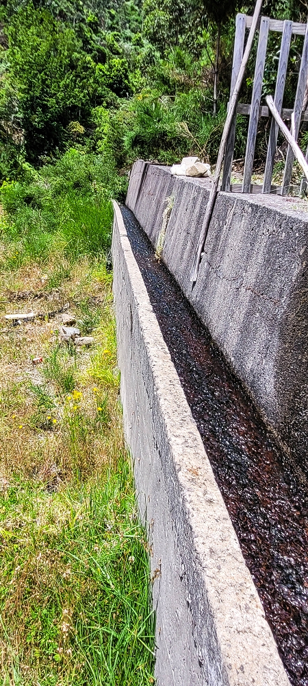 Levada da Fajã das Éguas — The first metres under the wall — photo 3
