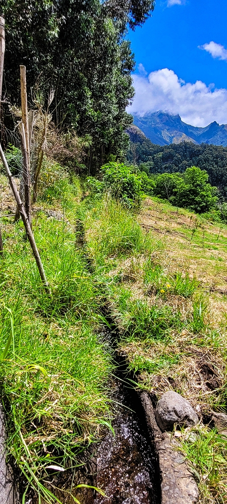 Levada da Fajã das Éguas — As far as the junction to the upper branch — photo 1