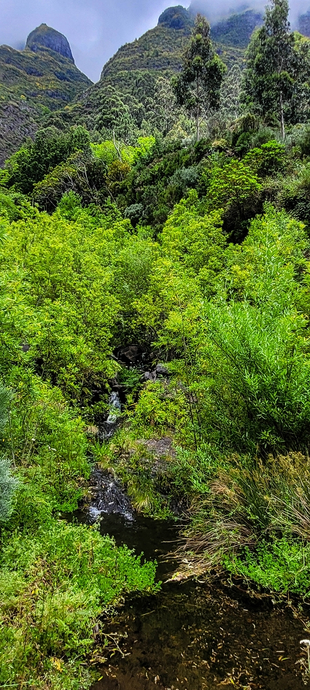 Levada da Fajã das Éguas — The Madre in 2022 — photo 1