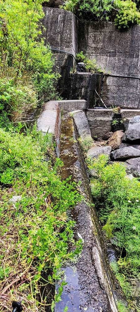 Levada da Fajã das Éguas — The Madre in 2022 — photo 2