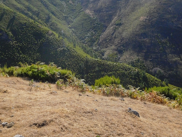 16.08.2017 Suche nach dem Furado Velho über die südliche 'Levada do Furado Velho' — Weiter Abstieg auf dem Lombo do Lumiele — Foto 5