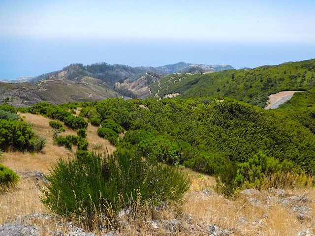 16.08.2017 Suche nach dem Furado Velho über die südliche 'Levada do Furado Velho' — Auf dem Pico dos Bodes — Foto 9