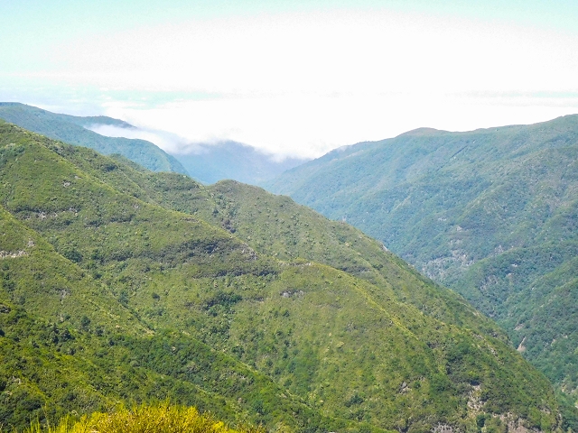 16.08.2017 Suche nach dem Furado Velho über die südliche 'Levada do Furado Velho' — Auf dem Pico dos Bodes — Foto 11