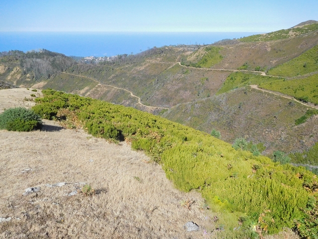 16.08.2017 Suche nach dem Furado Velho über die südliche 'Levada do Furado Velho' — Weiter Abstieg auf dem Lombo do Lumiele — Foto 6