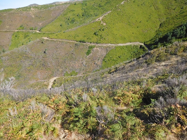 16.08.2017 Suche nach dem Furado Velho über die südliche 'Levada do Furado Velho' — Weiter Abstieg auf dem Lombo do Lumiele — Foto 8