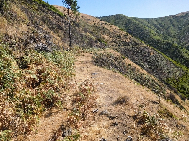 16.08.2017 Suche nach dem Furado Velho über die südliche 'Levada do Furado Velho' — Auf der alten Levada do Furado Velho zum Furado Velho — Foto 2