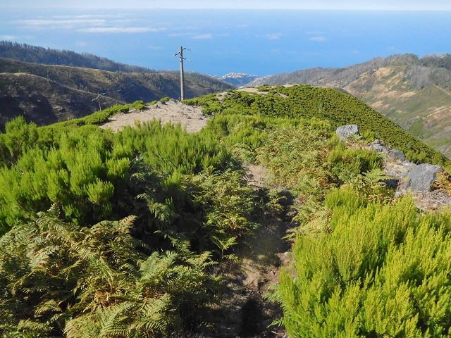 16.08.2017 Suche nach dem Furado Velho über die südliche 'Levada do Furado Velho' — Abstieg auf dem Lombo do Lumiele — Foto 2