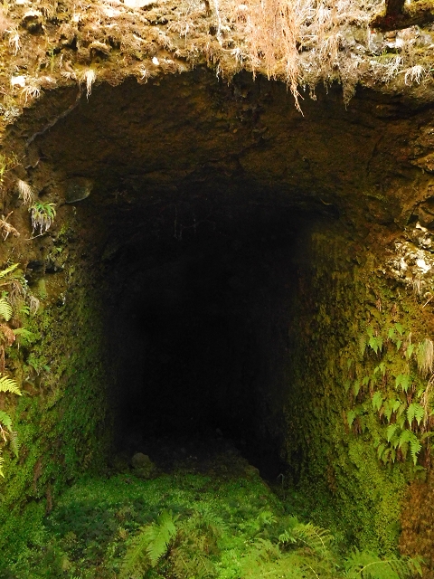 16.08.2017 Suche nach dem Furado Velho über die südliche 'Levada do Furado Velho' — Furado Velho — Foto 1