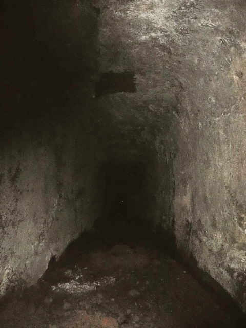 16.08.2017 Suche nach dem Furado Velho über die südliche 'Levada do Furado Velho' — Furado Velho — Foto 3