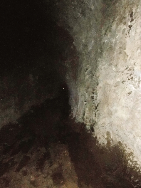16.08.2017 Suche nach dem Furado Velho über die südliche 'Levada do Furado Velho' — Furado Velho — Foto 4