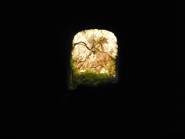 16.08.2017 Suche nach dem Furado Velho über die südliche 'Levada do Furado Velho' — Furado Velho — Foto 8