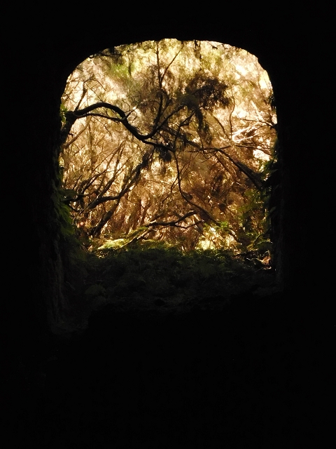 16.08.2017 Suche nach dem Furado Velho über die südliche 'Levada do Furado Velho' — Furado Velho — Foto 9
