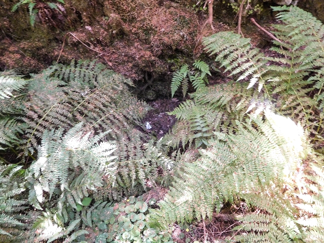 Levada do Risco — Levada remains by the Furado Velho on the south side — photo 1