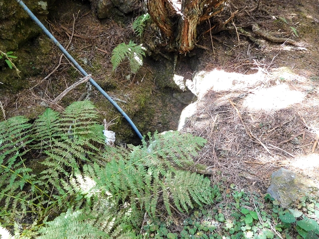 Levada do Risco — Levada remains by the Furado Velho on the south side — photo 2