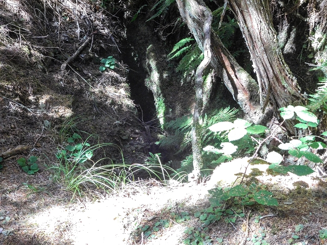 Levada do Risco — Levada remains by the Furado Velho on the south side — photo 3