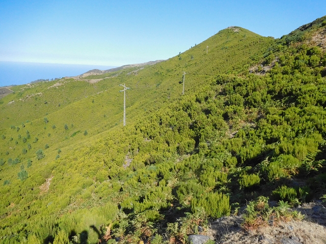 Levada da Senhora (Estreito da Calheta) — Abschnitt 7 — Foto 2
