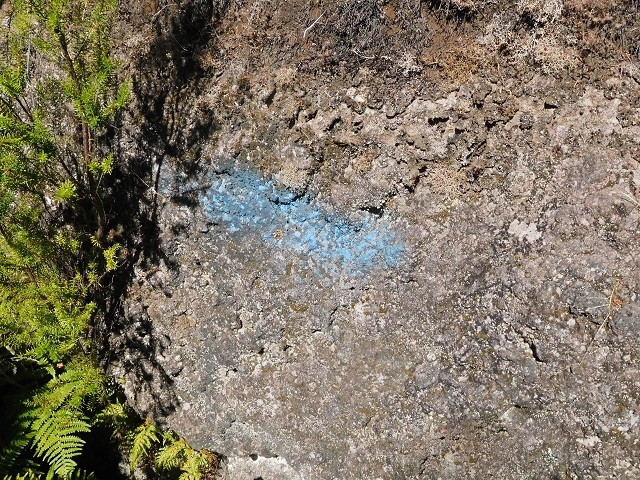 16.08.2017 Suche nach dem Furado Velho über die südliche 'Levada do Furado Velho' — Zurück auf der alten Levada do Furado Velho bis zum nächsten Tunnel — Foto 9