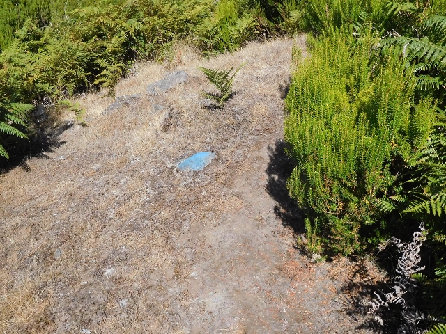 16.08.2017 Suche nach dem Furado Velho über die südliche 'Levada do Furado Velho' — Zurück auf der alten Levada do Furado Velho bis zum nächsten Tunnel — Foto 10
