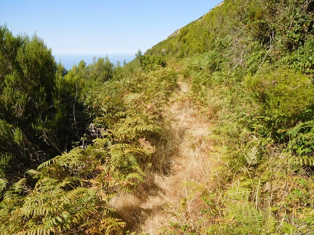 16.08.2017 Suche nach dem Furado Velho über die südliche 'Levada do Furado Velho' — Zurück auf der alten Levada do Furado Velho bis zum nächsten Tunnel — Foto 13
