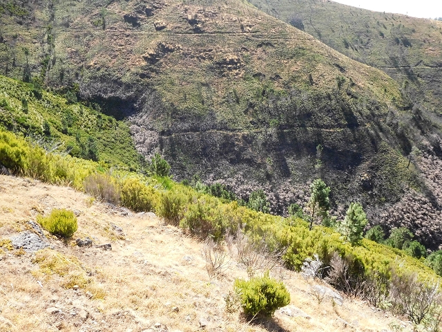 16.08.2017 Suche nach dem Furado Velho über die südliche 'Levada do Furado Velho' — Zurück auf der alten Levada do Furado Velho bis zum nächsten Tunnel — Foto 16