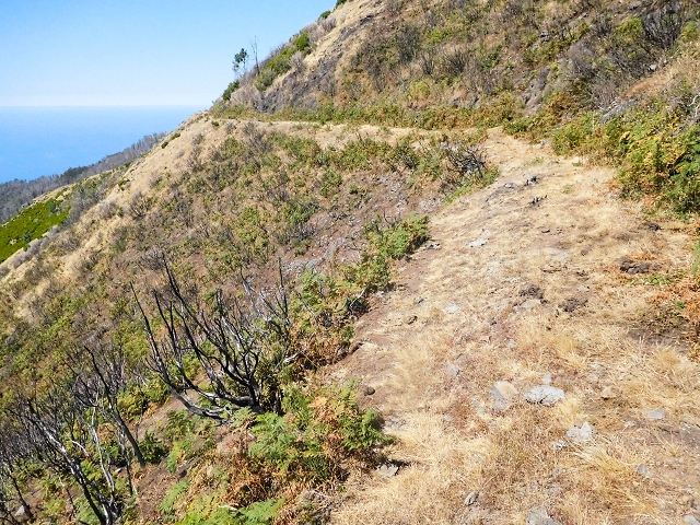 Levada do Risco — After that, all that remains of the levada is a gravel track — photo 1