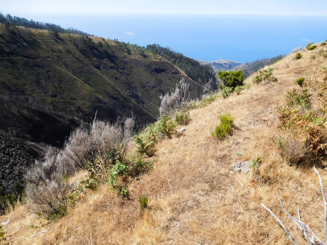16.08.2017 Suche nach dem Furado Velho über die südliche 'Levada do Furado Velho' — Zurück auf der alten Levada do Furado Velho bis zum nächsten Tunnel — Foto 19