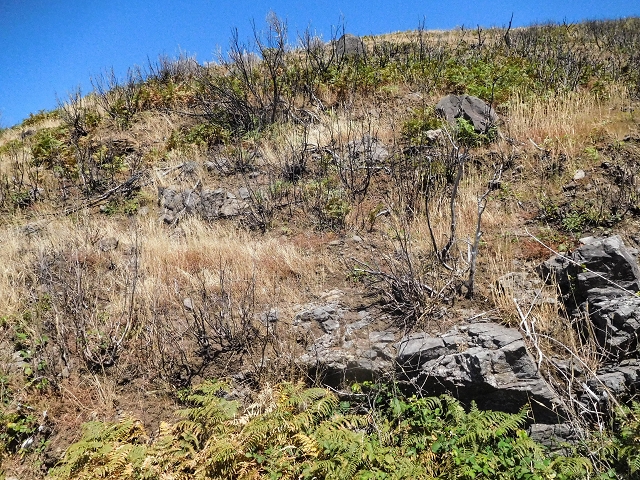 16.08.2017 Suche nach dem Furado Velho über die südliche 'Levada do Furado Velho' — Zurück auf der alten Levada do Furado Velho bis zum nächsten Tunnel — Foto 21