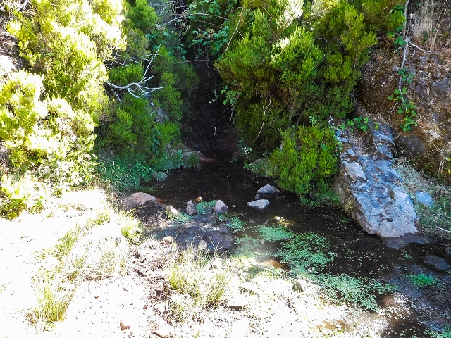 Levada do Risco — Shady stream crossings — photo 1