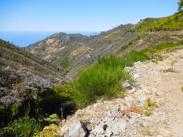 16.08.2017 Suche nach dem Furado Velho über die südliche 'Levada do Furado Velho' — Zurück auf der alten Levada do Furado Velho bis zum nächsten Tunnel — Foto 26
