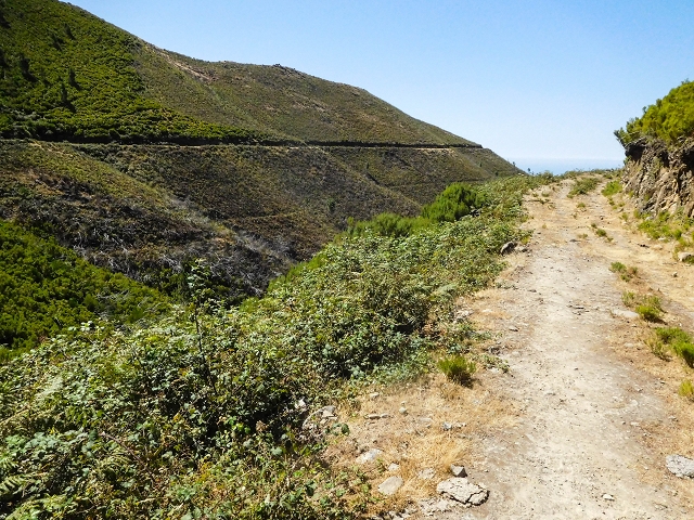 Levada do Risco — After that, all that remains of the levada is a gravel track — photo 3