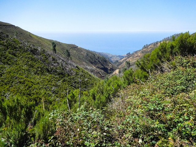 16.08.2017 Suche nach dem Furado Velho über die südliche 'Levada do Furado Velho' — Zurück auf der alten Levada do Furado Velho bis zum nächsten Tunnel — Foto 28