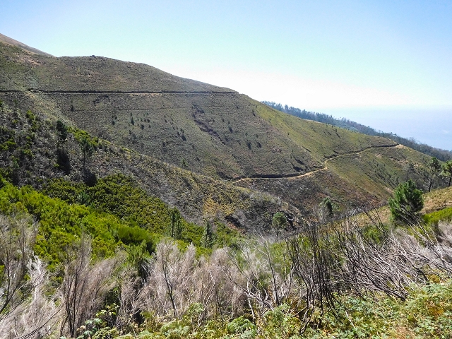 16.08.2017 Suche nach dem Furado Velho über die südliche 'Levada do Furado Velho' — Zurück auf der alten Levada do Furado Velho bis zum nächsten Tunnel — Foto 29