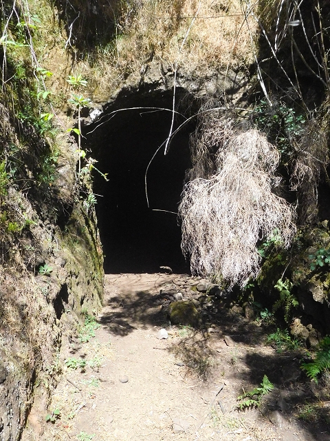 16.08.2017 Suche nach dem Furado Velho über die südliche 'Levada do Furado Velho' — Der Tunnel unter dem Rocadas-Lombo — Foto 3