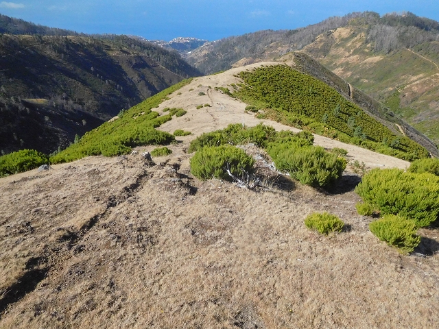 16.08.2017 Suche nach dem Furado Velho über die südliche 'Levada do Furado Velho' — Weiter Abstieg auf dem Lombo do Lumiele — Foto 2