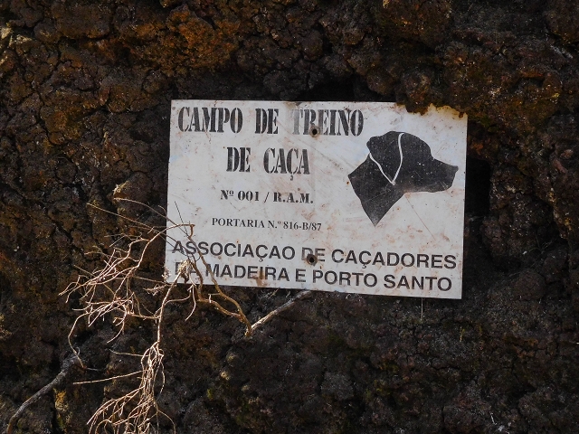 16.08.2017 Suche nach dem Furado Velho über die südliche 'Levada do Furado Velho' — Weiter zum nächsten Lombo mit dem kurzen Tunnel — Foto 1