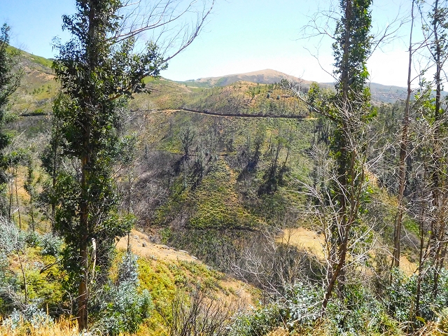 Levada do Risco — After that, all that remains of the levada is a gravel track — photo 4