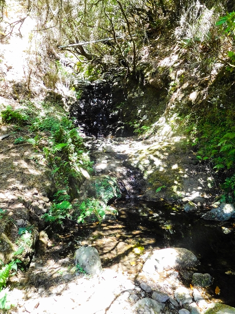 Levada do Risco — Shady stream crossings — photo 3