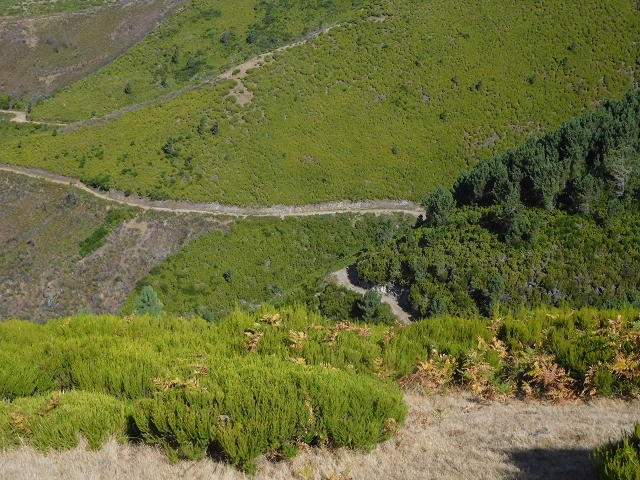 16.08.2017 Suche nach dem Furado Velho über die südliche 'Levada do Furado Velho' — Weiter Abstieg auf dem Lombo do Lumiele — Foto 3