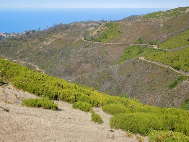 16.08.2017 Suche nach dem Furado Velho über die südliche 'Levada do Furado Velho' — Weiter Abstieg auf dem Lombo do Lumiele — Foto 4