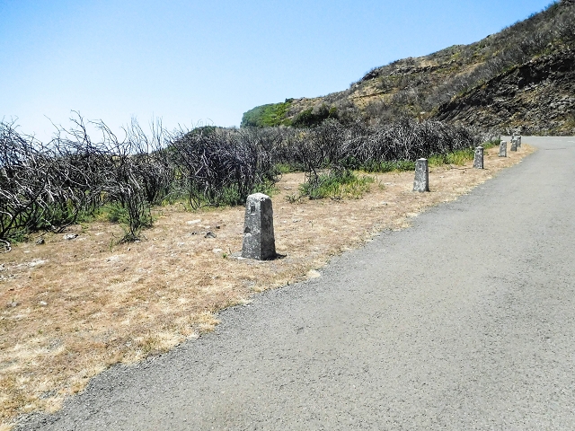 16.08.2017 Suche nach dem Furado Velho über die südliche 'Levada do Furado Velho' — Aufstieg über den Lombo das Uveiras zur ER-110 — Foto 9