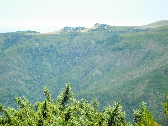 16.08.2017 Suche nach dem Furado Velho über die südliche 'Levada do Furado Velho' — Auf dem Pico dos Bodes — Foto 2