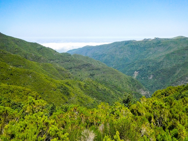16.08.2017 Suche nach dem Furado Velho über die südliche 'Levada do Furado Velho' — Auf dem Pico dos Bodes — Foto 3