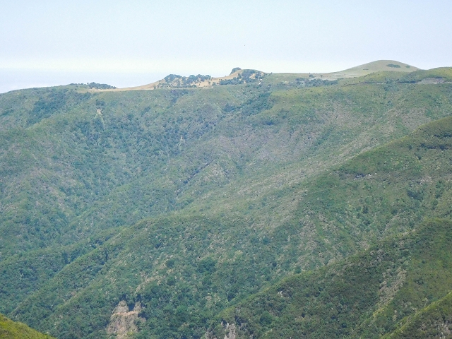 16.08.2017 Suche nach dem Furado Velho über die südliche 'Levada do Furado Velho' — Auf dem Pico dos Bodes — Foto 4