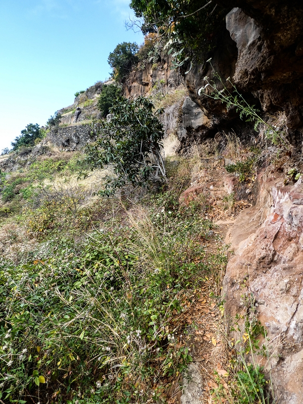 17 de maio de 2019 Para fechar: 5 levadas em Ponta do Sol — Para a Levada do Coronel e até ao cruzamento de estradas — foto 1